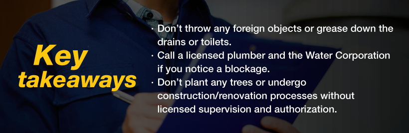 Tips to prevent and report sewer blockages in Adelaide